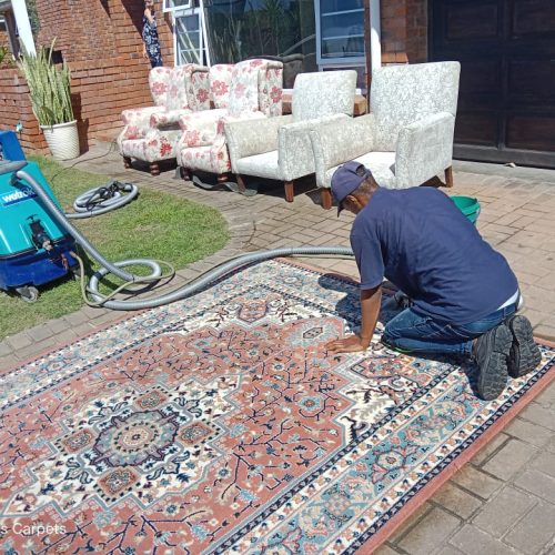 carpet and rug cleaning services port elizabeth (2)