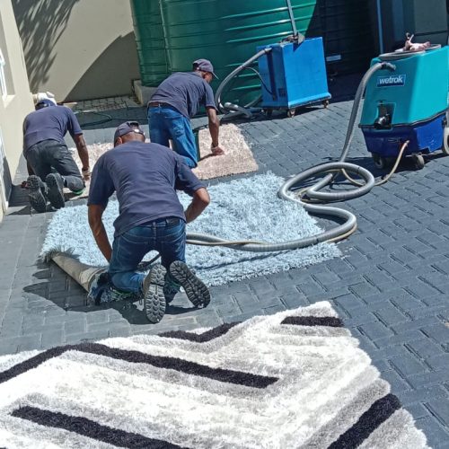carpet and rug cleaning services port elizabeth (4)